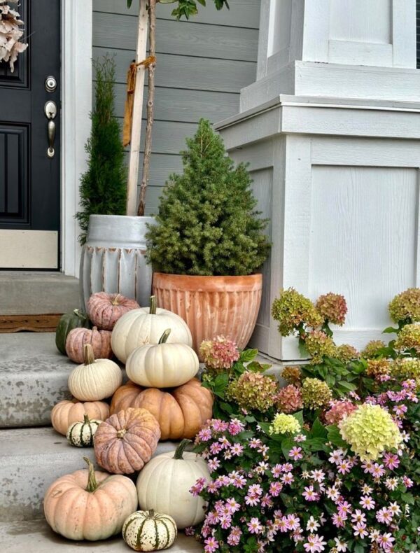 Prestige Neutral Shade Pumpkin Installation - Image 5
