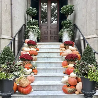Prestige Neutral Shade Pumpkin Installation