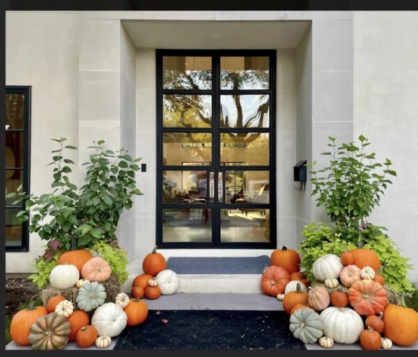 Select Pumpkin Installation
