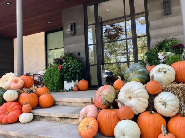 Elite Pumpkin Installation - Image 5