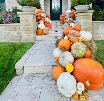Elite Pumpkin Installation