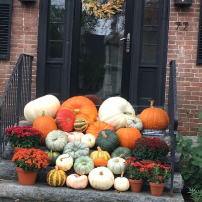Select Pumpkin Installation