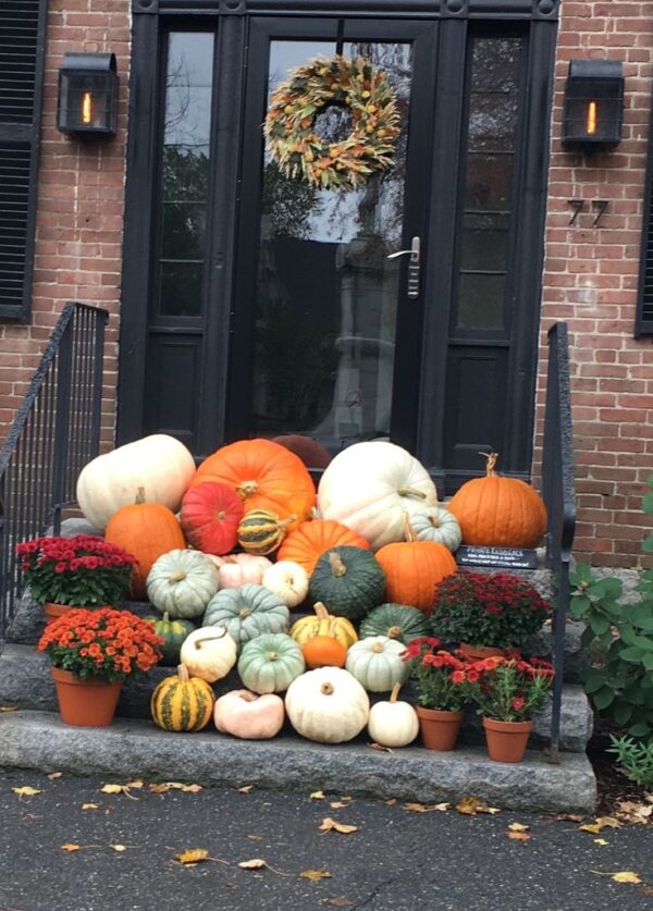 Select Pumpkin Installation