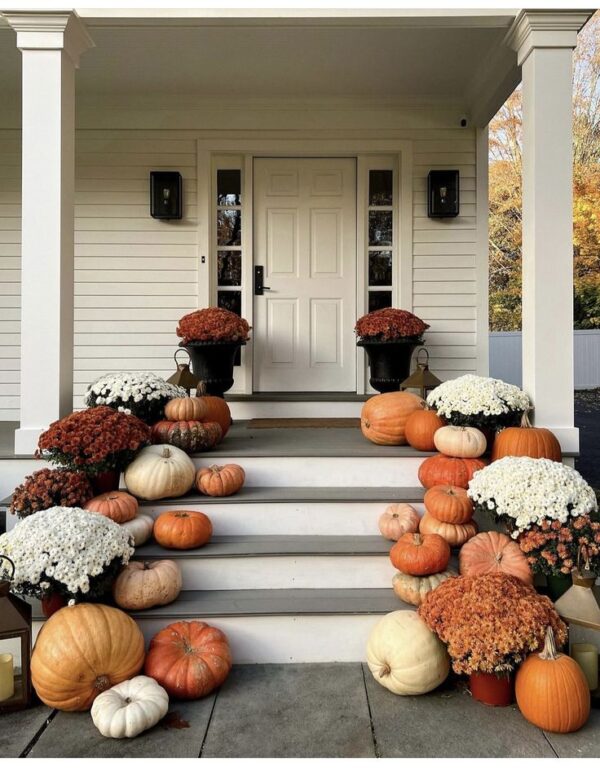 Flowers (Mums)