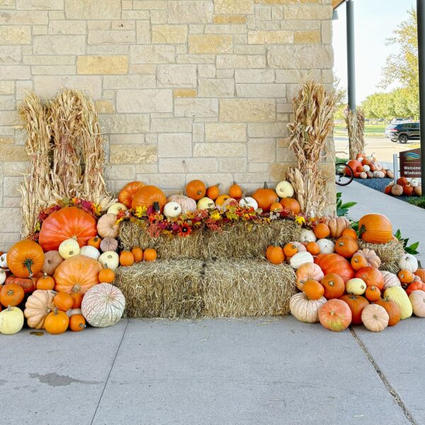 Luxury Commercial Pumpkin Installations - Image 2
