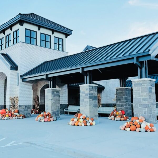 Luxury Commercial Pumpkin Installations - Image 3